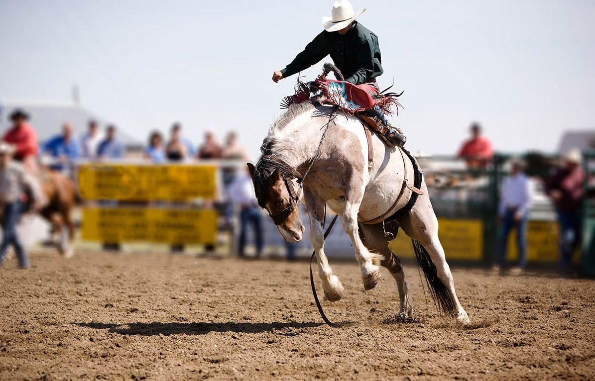 Williams Lake Stampede